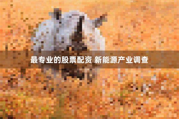 最专业的股票配资 新能源产业调查