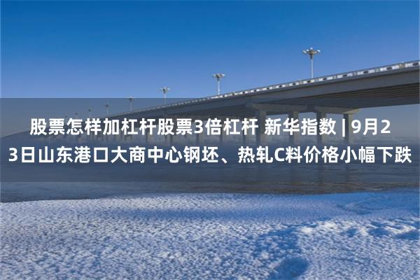 股票怎样加杠杆股票3倍杠杆 新华指数 | 9月23日山东港口大商中心钢坯、热轧C料价格小幅下跌
