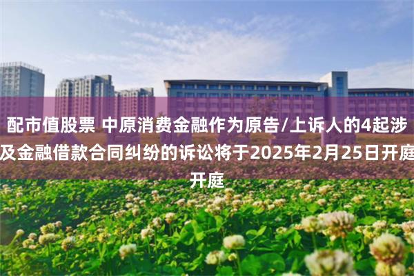 配市值股票 中原消费金融作为原告/上诉人的4起涉及金融借款合同纠纷的诉讼将于2025年2月25日开庭