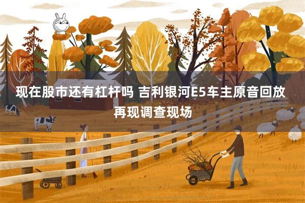 现在股市还有杠杆吗 吉利银河E5车主原音回放 再现调查现场