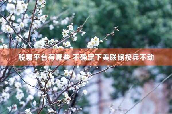股票平台有哪些 不确定下美联储按兵不动