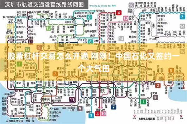 股票杠杆交易怎么开通 刚刚！中国石化又签约一个大气田