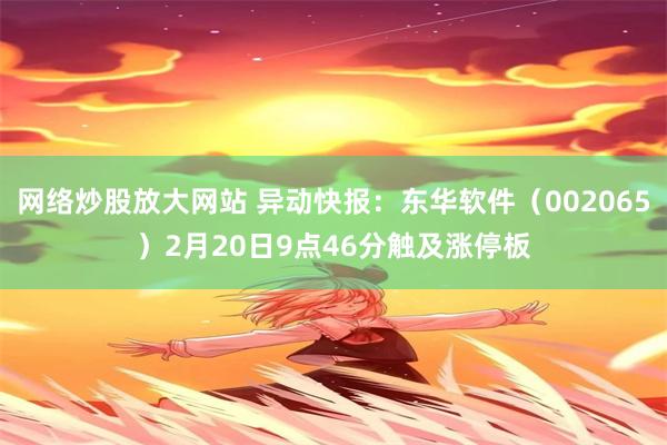 网络炒股放大网站 异动快报：东华软件（002065）2月20日9点46分触及涨停板