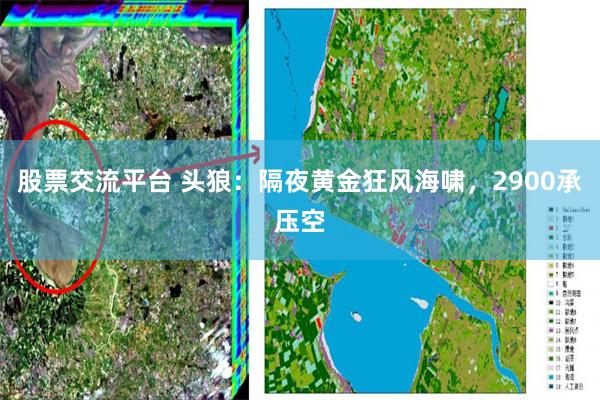 股票交流平台 头狼：隔夜黄金狂风海啸，2900承压空