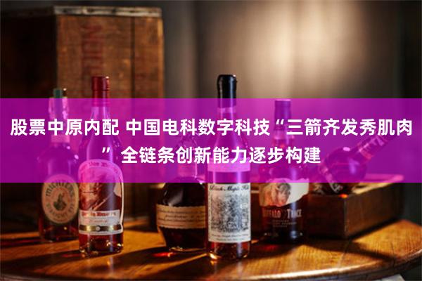 股票中原内配 中国电科数字科技“三箭齐发秀肌肉” 全链条创新能力逐步构建