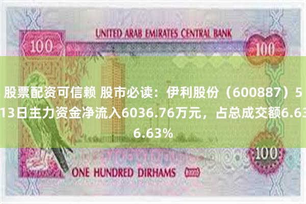股票配资可信赖 股市必读：伊利股份（600887）5月13日主力资金净流入6036.76万元，占总成交额6.63%