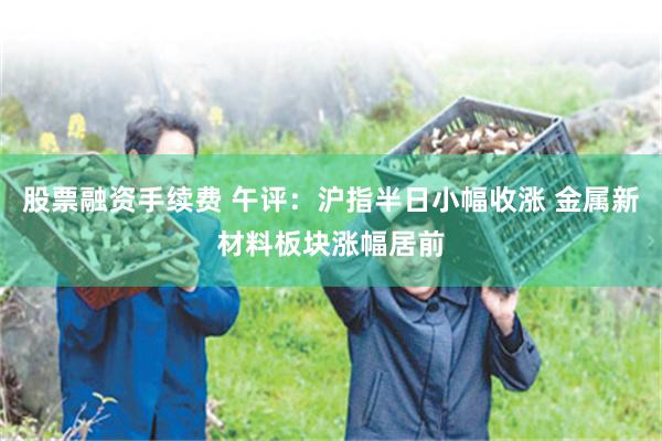 股票融资手续费 午评：沪指半日小幅收涨 金属新材料板块涨幅居前