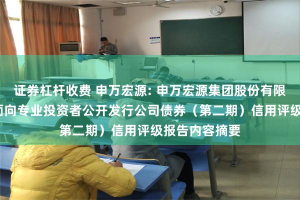 证券杠杆收费 申万宏源: 申万宏源集团股份有限公司2025年面向专业投资者公开发行公司债券（第二期）信用评级报告内容摘要
